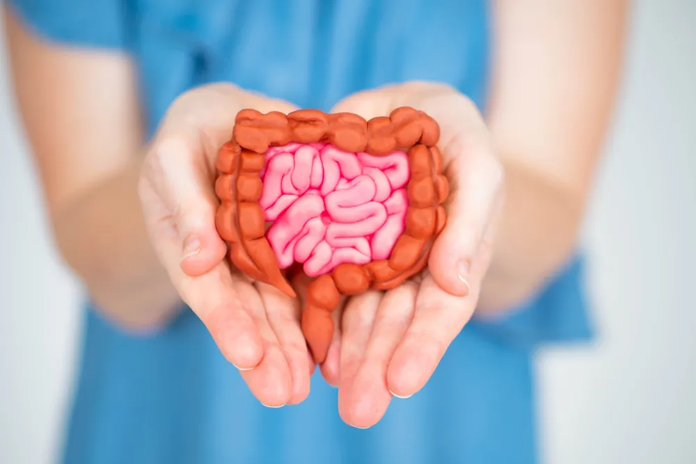 Tips for Maintaining Digestive Health - Blog Image