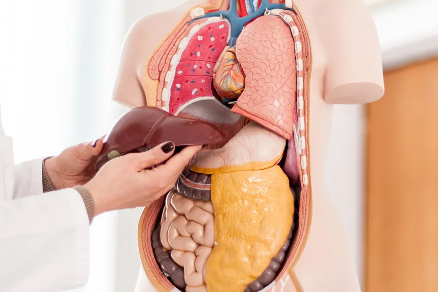 Best Gastroenterologist Near Me explains what is Liver Cirrhosis and how to treat