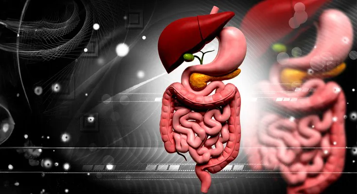 Gut and Liver Health: Essential Tips for Better Digestion and Detoxification - Blog Image