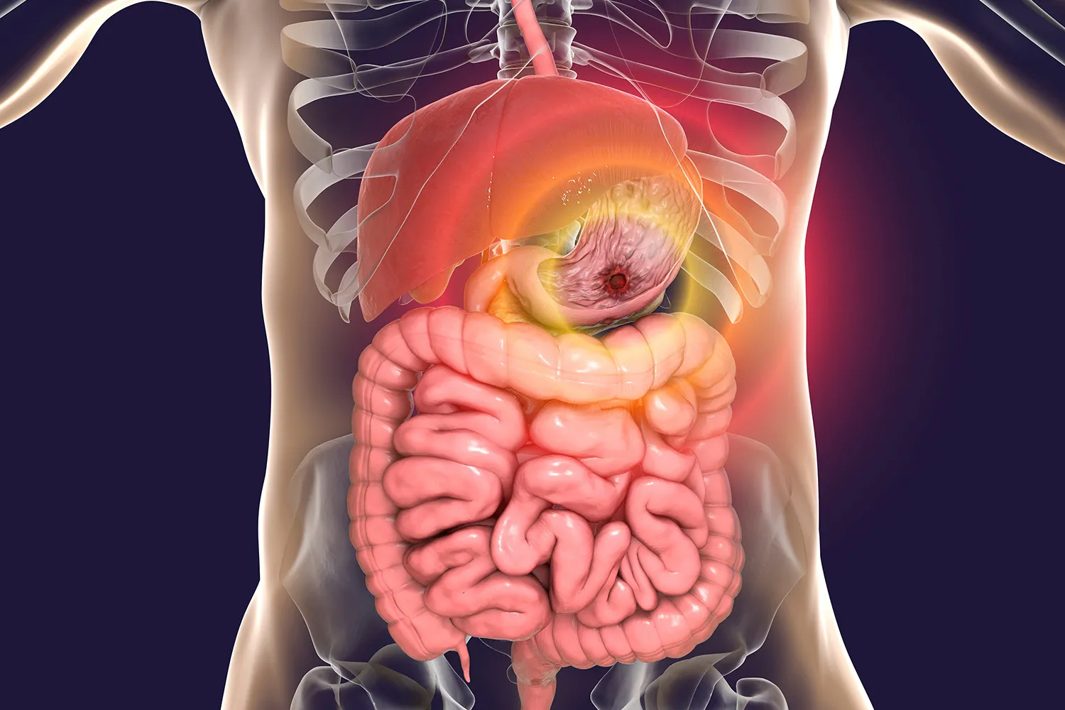 When should I see a gastroenterologist in Faridabad, India - Blog Image